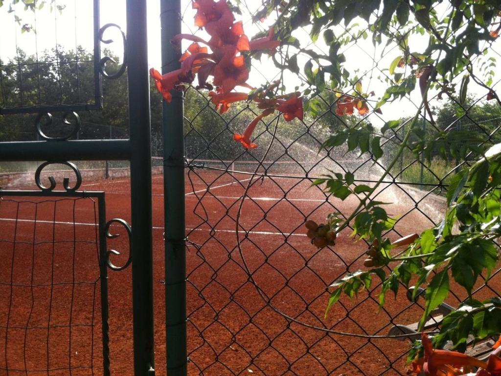 Villa In Funtana With Private Tenniscourt Dış mekan fotoğraf