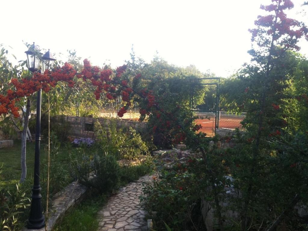 Villa In Funtana With Private Tenniscourt Dış mekan fotoğraf